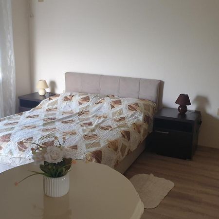 Apartments Kamenjar نوفي ساد الغرفة الصورة