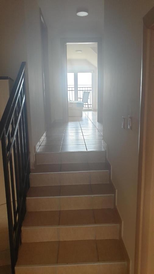 Apartments Kamenjar نوفي ساد الغرفة الصورة