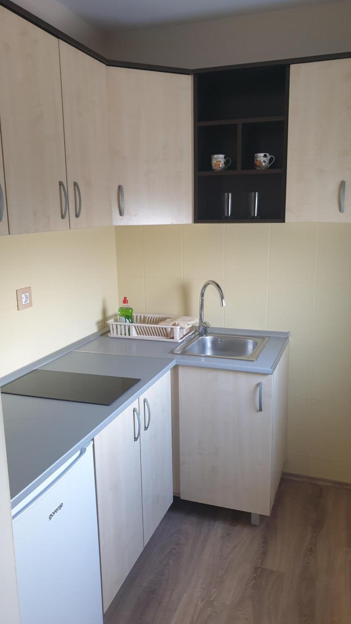 Apartments Kamenjar نوفي ساد الغرفة الصورة